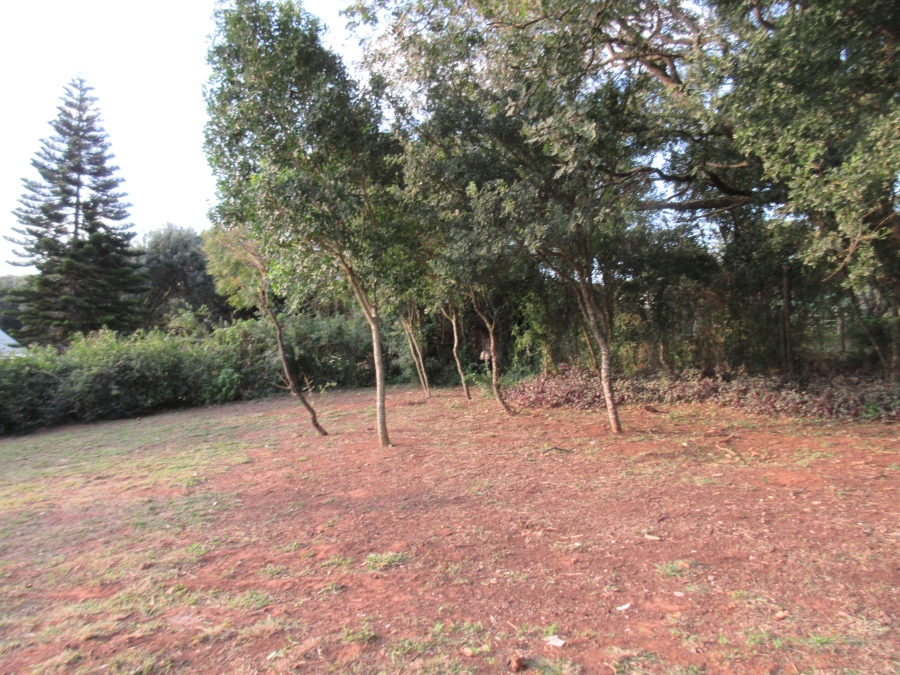 4 Bedroom Property for Sale in Bathurst Eastern Cape